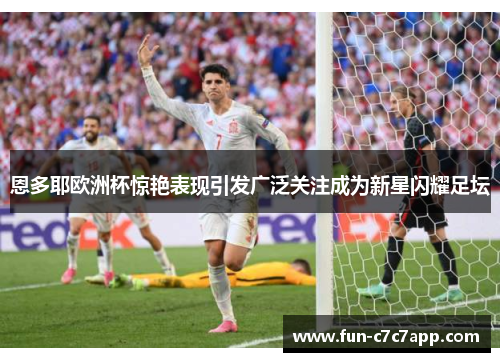 恩多耶欧洲杯惊艳表现引发广泛关注成为新星闪耀足坛