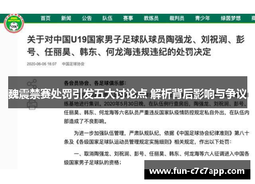 魏震禁赛处罚引发五大讨论点 解析背后影响与争议